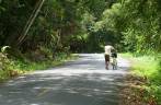 Vencido pela subida e pela bicicleta defeituosa, no caminho para Boca del Drago, praia de Bocas del Toro, no litoral norte do Panamá, lado do Atlântico